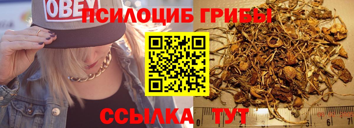 Псилоцибиновые грибы мухоморы  Галлюциногенные грибы прущие грибы  Сургут  Вход с VPN 